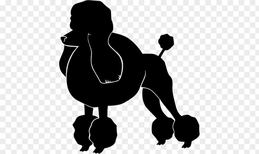 Silhouette Standard Poodle The Clip Art PNG