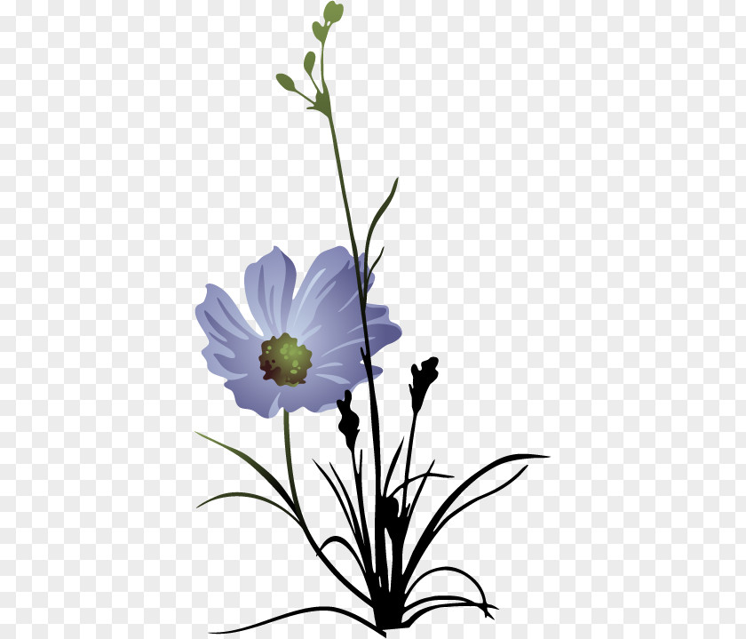 Spa Day Azulyn Flower Floral Design PNG