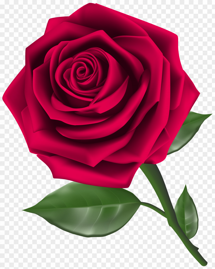 3D Roses Cliparts Rose Flower Red Clip Art PNG