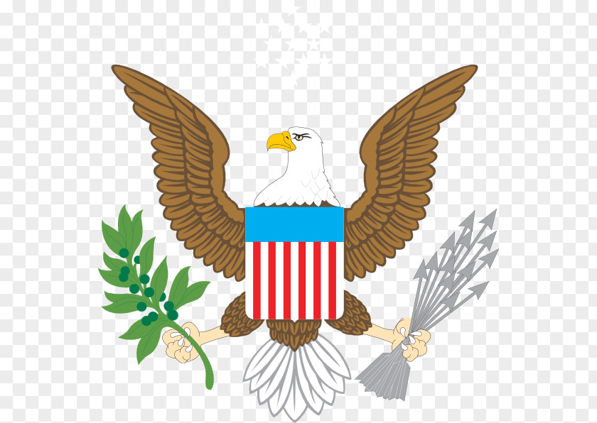 American Eagle Great Seal Of The United States Bald Coat Arms Flag PNG