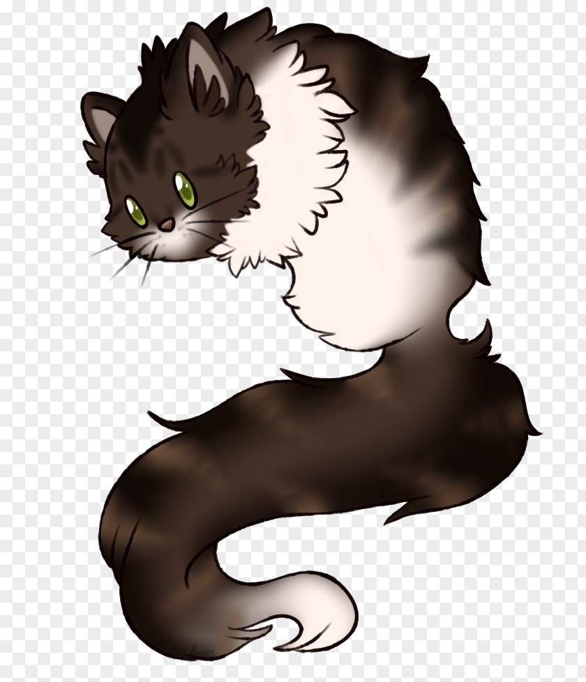 Kitten Whiskers Cat DeviantArt PNG