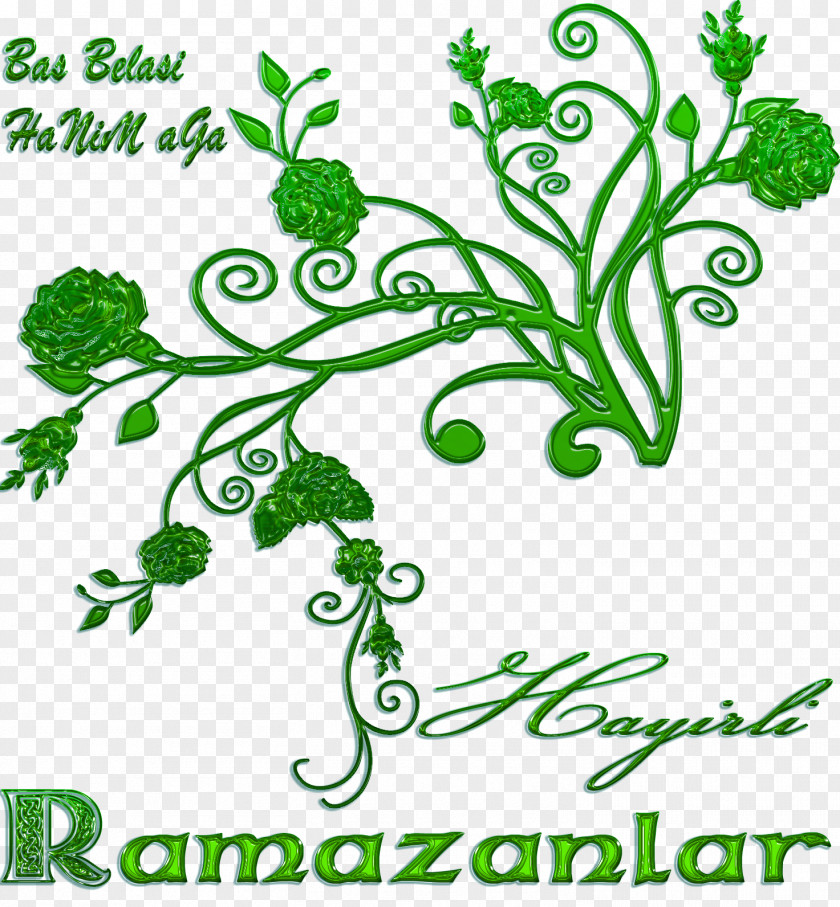 Ramadan Plant Stem Writing Clip Art PNG