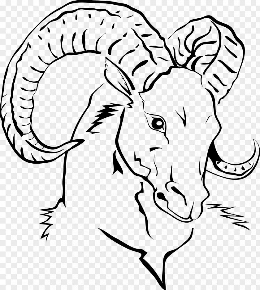Vector Line Drawing Goat Head Sheep Domestication Of Animals PNG