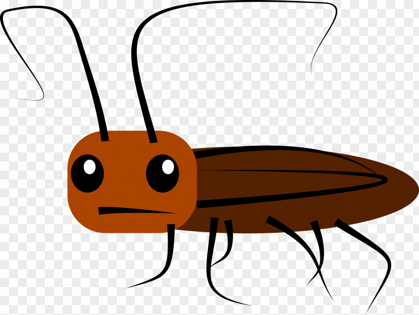 Cockroach Cartoon Clip Art PNG