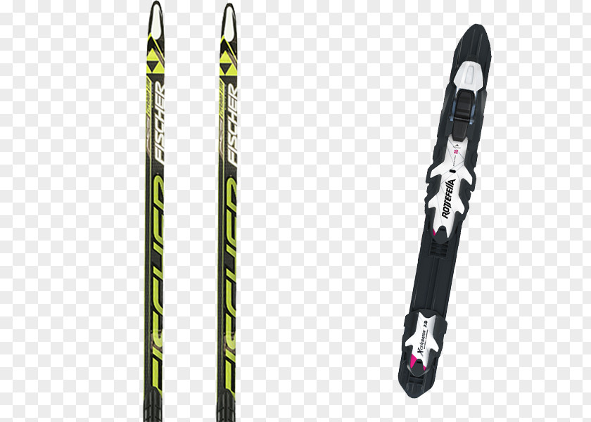 Ski Bindings Poles PNG