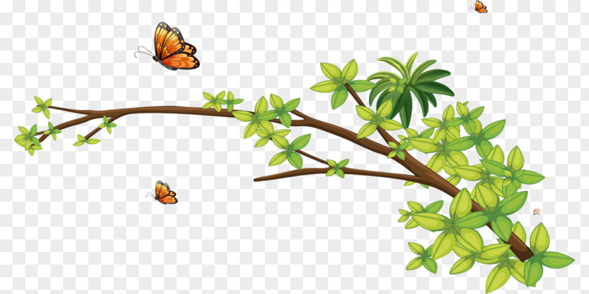 Tree Clip Art PNG