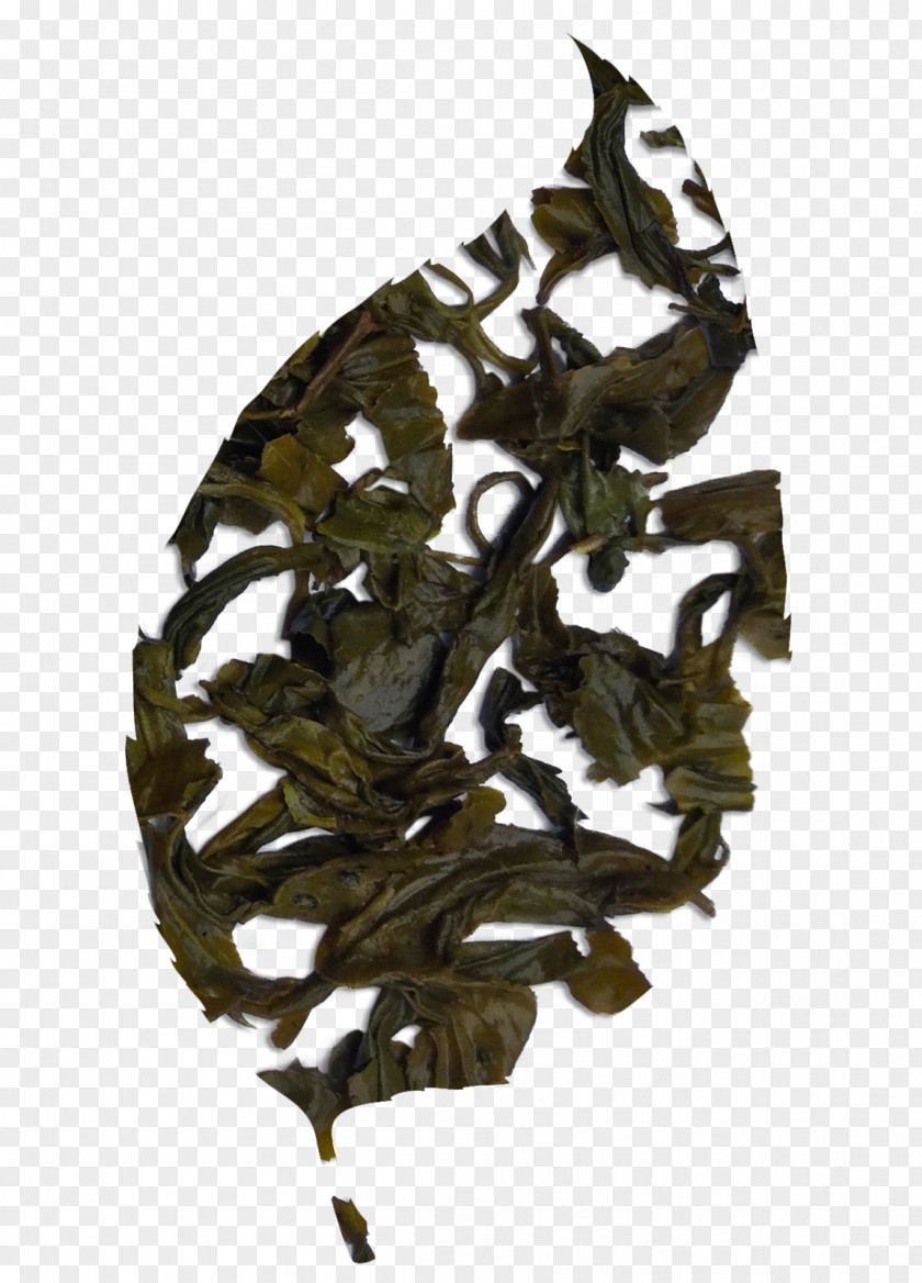 Chinese Tea Da Hong Pao Tieguanyin Oolong Dianhong Bai Mudan PNG