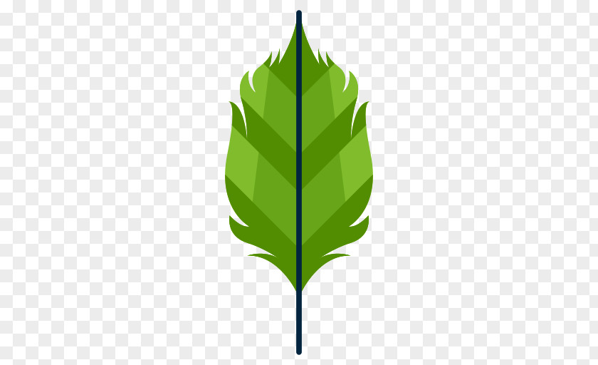 Leaf Project PNG
