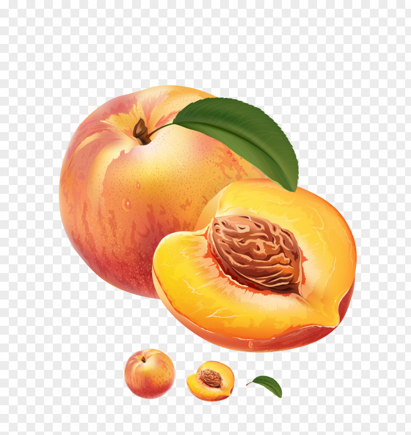 Peach Vector Material Juice Peaches And Cream Fruit Preserves PNG