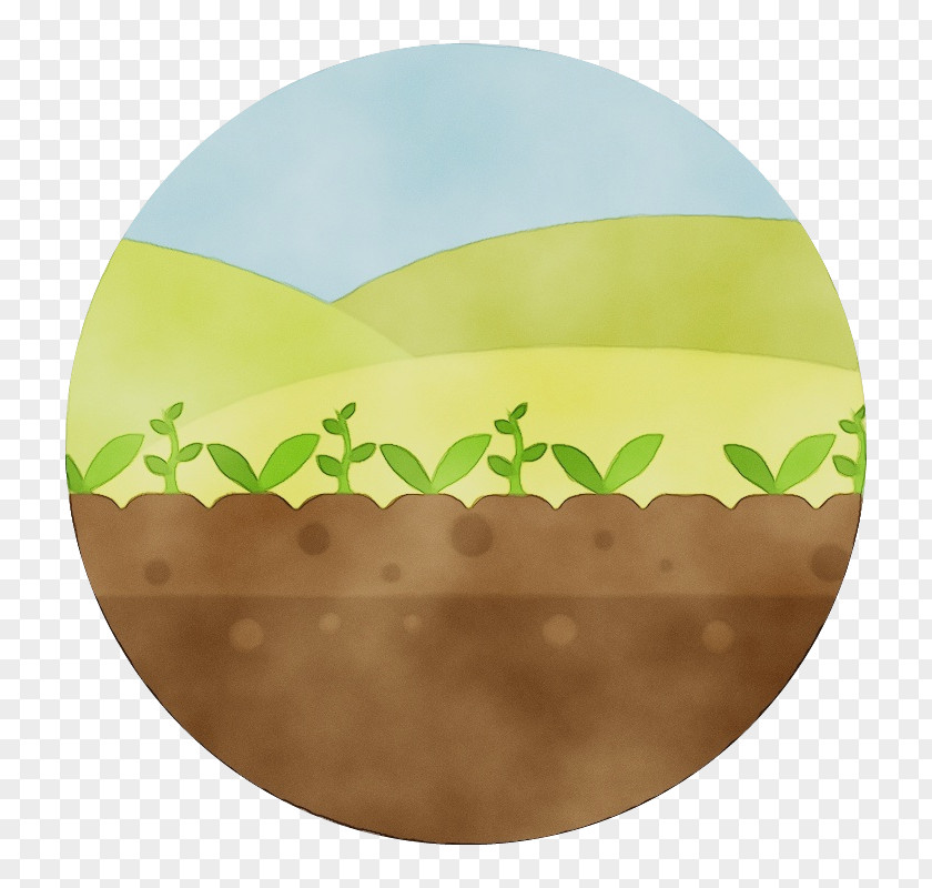 Plant Landscape Green PNG