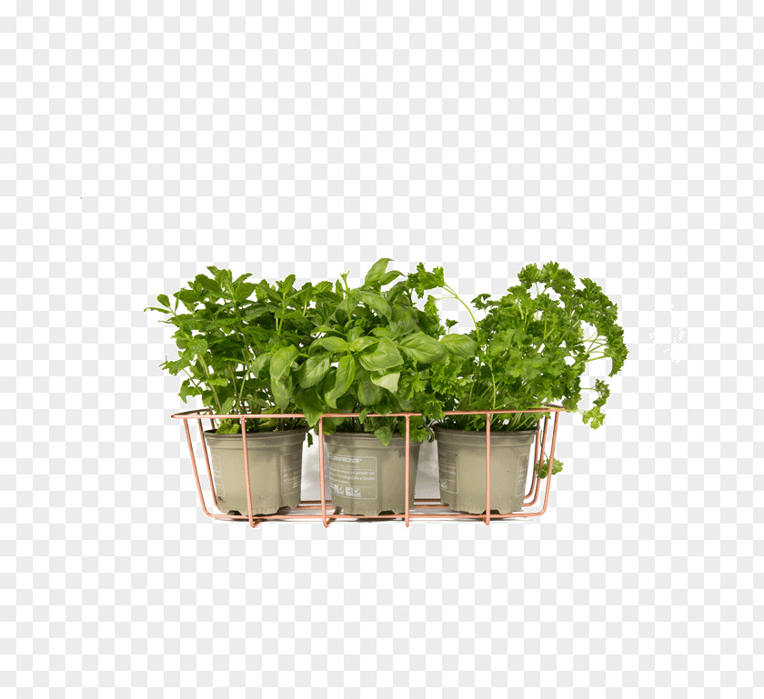 Bulk Spice Organizer Flowerpot Herb Vase Vegetable PNG