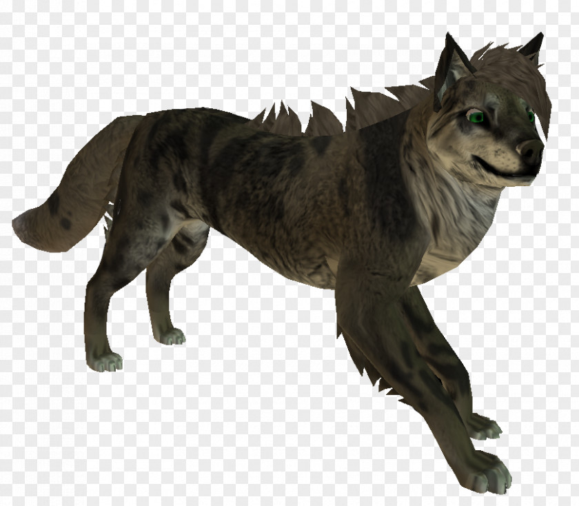 Cat Gray Wolf Fur Terrestrial Animal Tail PNG