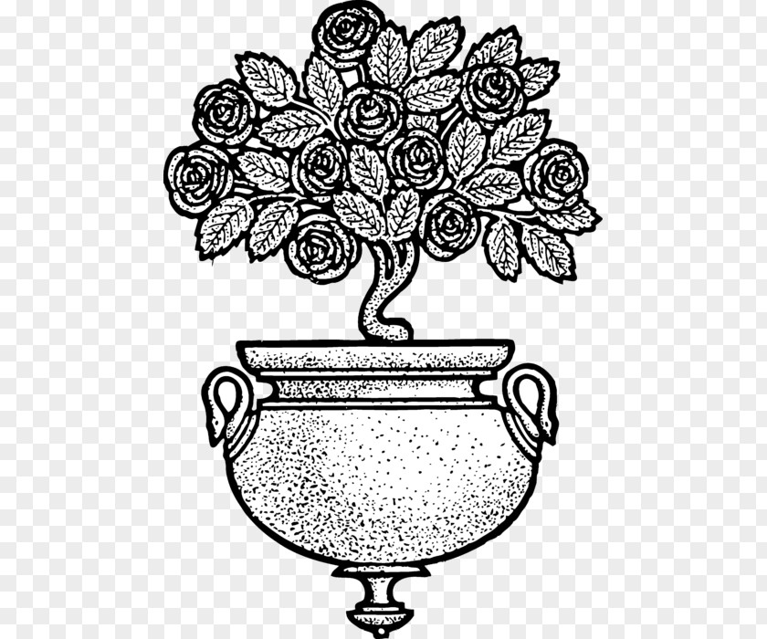 Flower Floral Design Flowerpot Rose Clip Art PNG