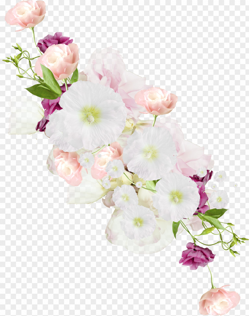 Flowers Material Flower Photos PNG material flower photos clipart PNG