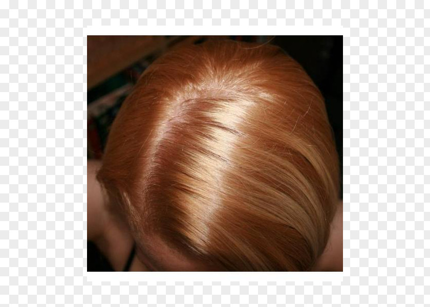 Garnier Brown Hair Coloring Blond PNG