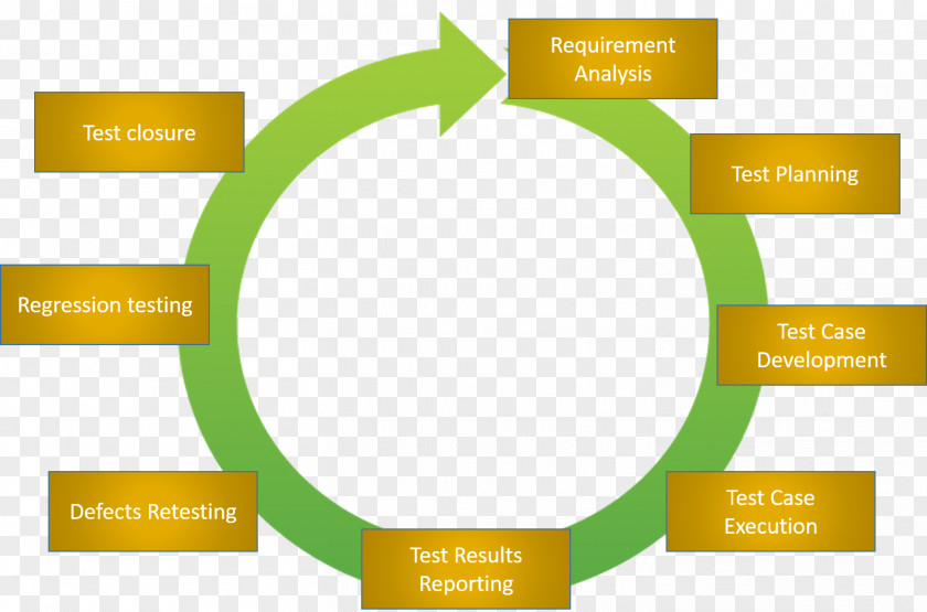 Life Cycle Organization LinkedIn Recruitment Job Brand PNG