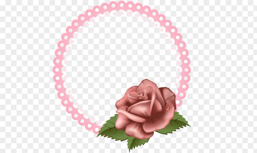 Marsala Flower Rose Clip Art PNG