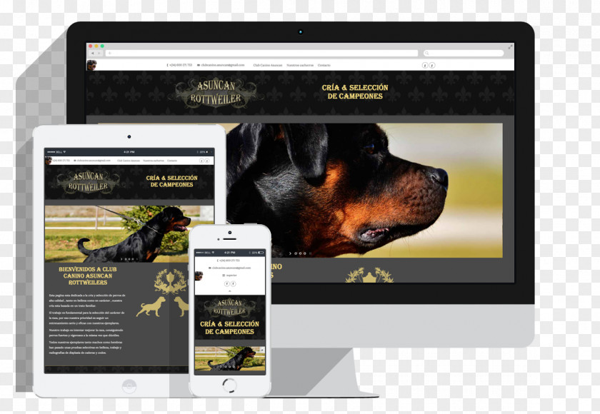 Mock Up Dog Italian Cuisine Restaurant Front-end Web Development PNG