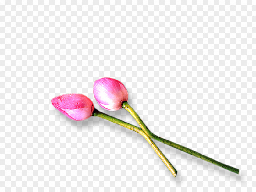 Pink M RTV Plant Stem PNG