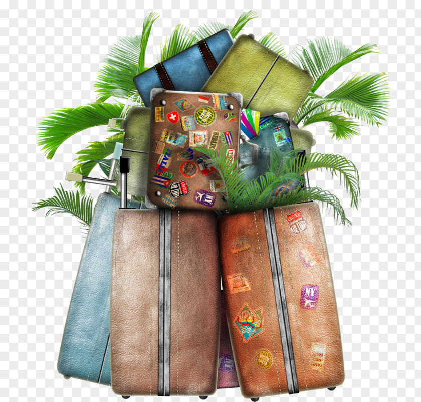 Travel Stock Photography Vector Graphics Baggage Suitcase PNG