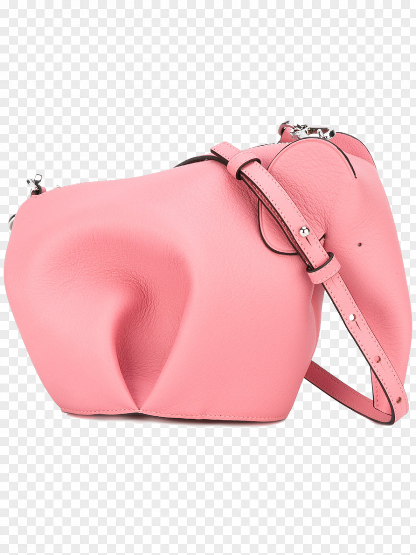 Women Bag LOEWE Handbag Messenger Bags Leather PNG