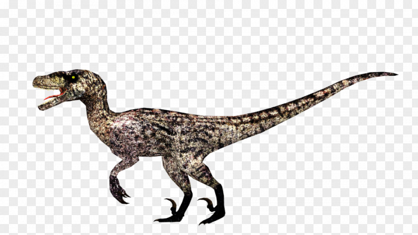 Zoo Tycoon 2 Velociraptor Deinonychus Jurassic Park PNG