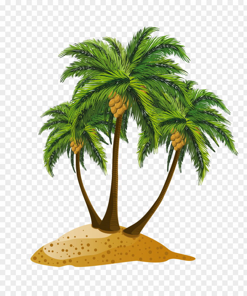 Palm Tree Panama City Beach Clip Art PNG