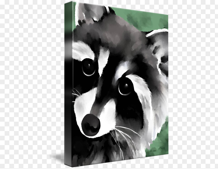 Raccoon Paint The Watercolor Painting Art PNG