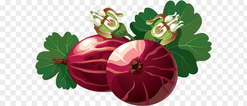 Technology Gooseberry Redcurrant PNG