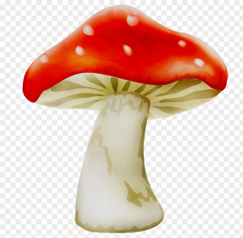 Clip Art Common Mushroom Image PNG
