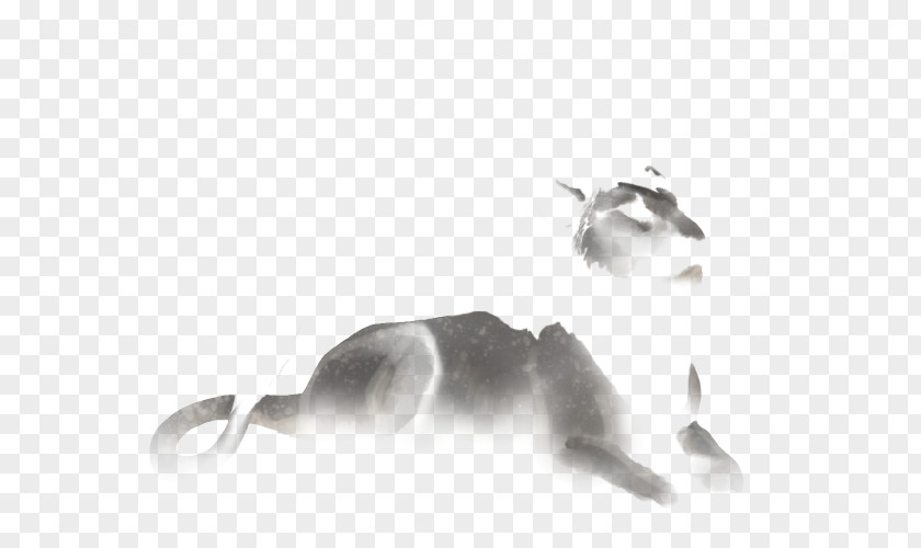 Cat Lion White Black Tail PNG