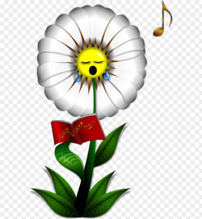 Daisy Flower Outline Singing Common Clip Art PNG
