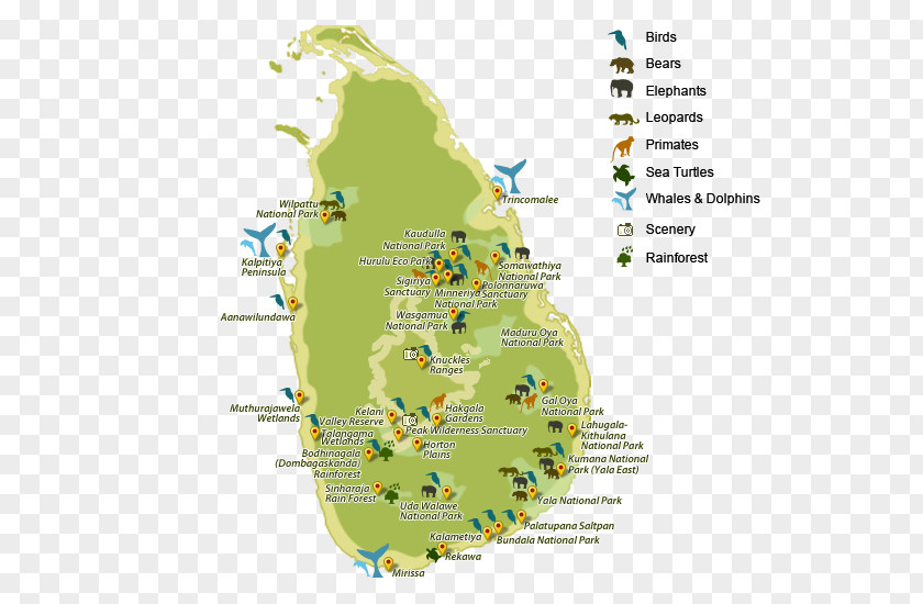 Map Sinharaja Forest Reserve Yala National Park Udawalawe PNG