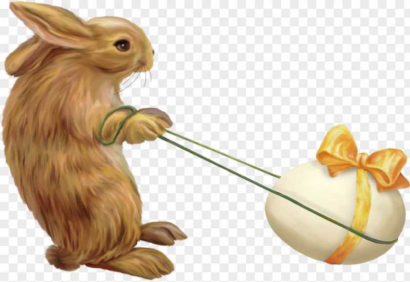 Pull The Rabbit Eggs Easter Bunny Clip Art PNG