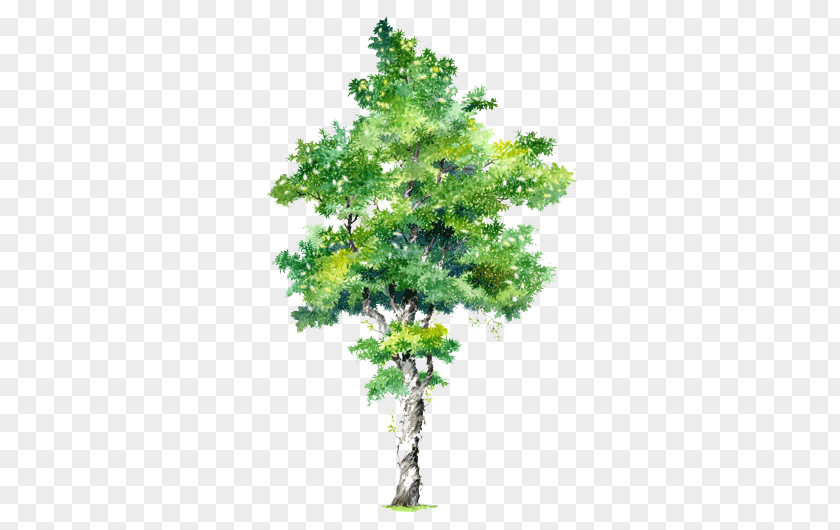 Trees Creative Green Painted Element PNG creative green trees painted element clipart PNG