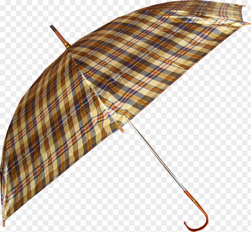 Umbrella Rain Autumn Snow Meteorology Fog PNG