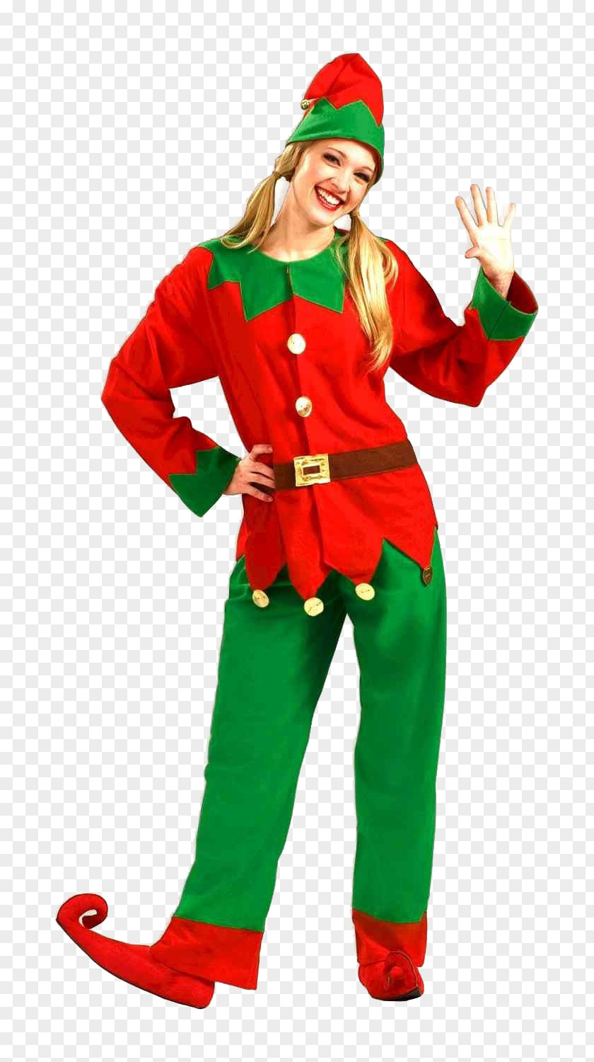 Costume Accessory Jester Santa Claus PNG