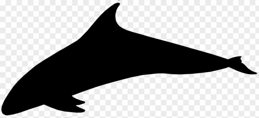 Dolphin Porpoise Clip Art Silhouette Line PNG
