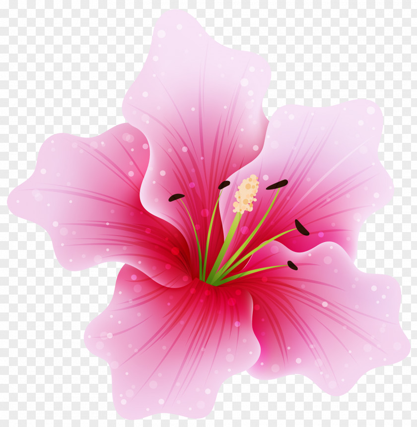 Large Pink Flower Clipart Flowers Clip Art PNG