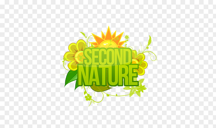 Nature Journal Writing Prompts Sunflower M Logo Illustration Desktop Wallpaper Font PNG
