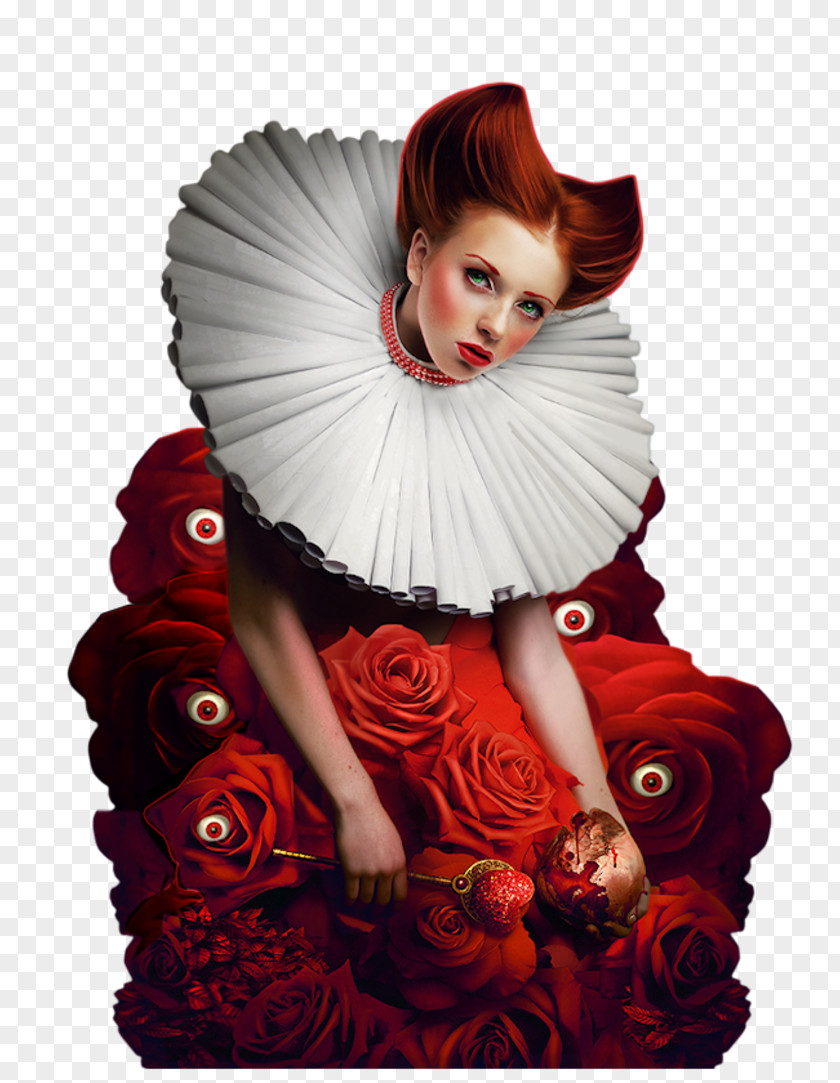 Queen Of Hearts Photo Manipulation PNG