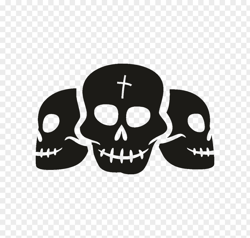 Skull Skeleton PNG