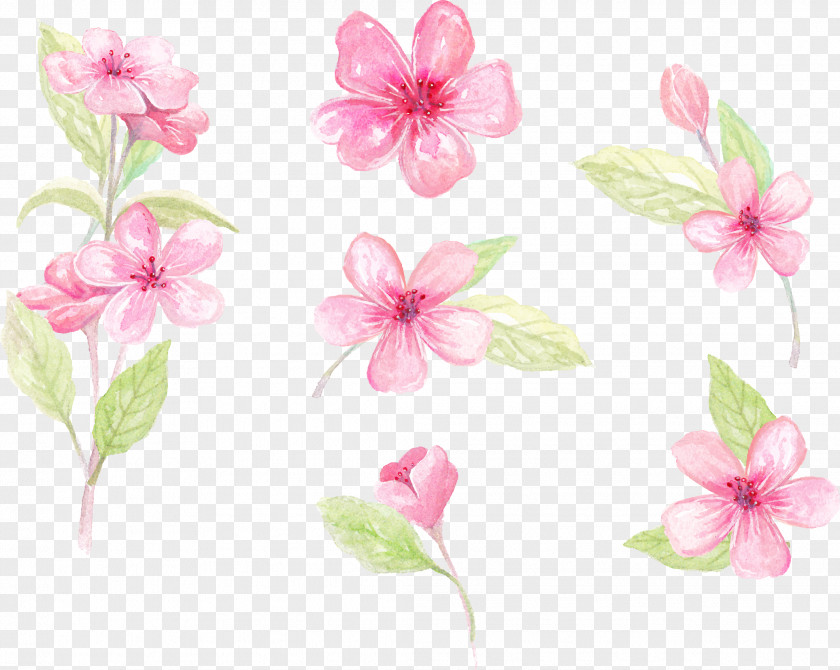 Vector Hand-painted Flowers Paper Floral Design Flower Clip Art PNG