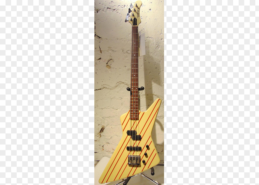 Bass Guitar Acoustic-electric PNG