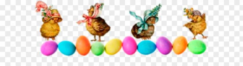 Estanbol Easter Egg Spring Video PNG