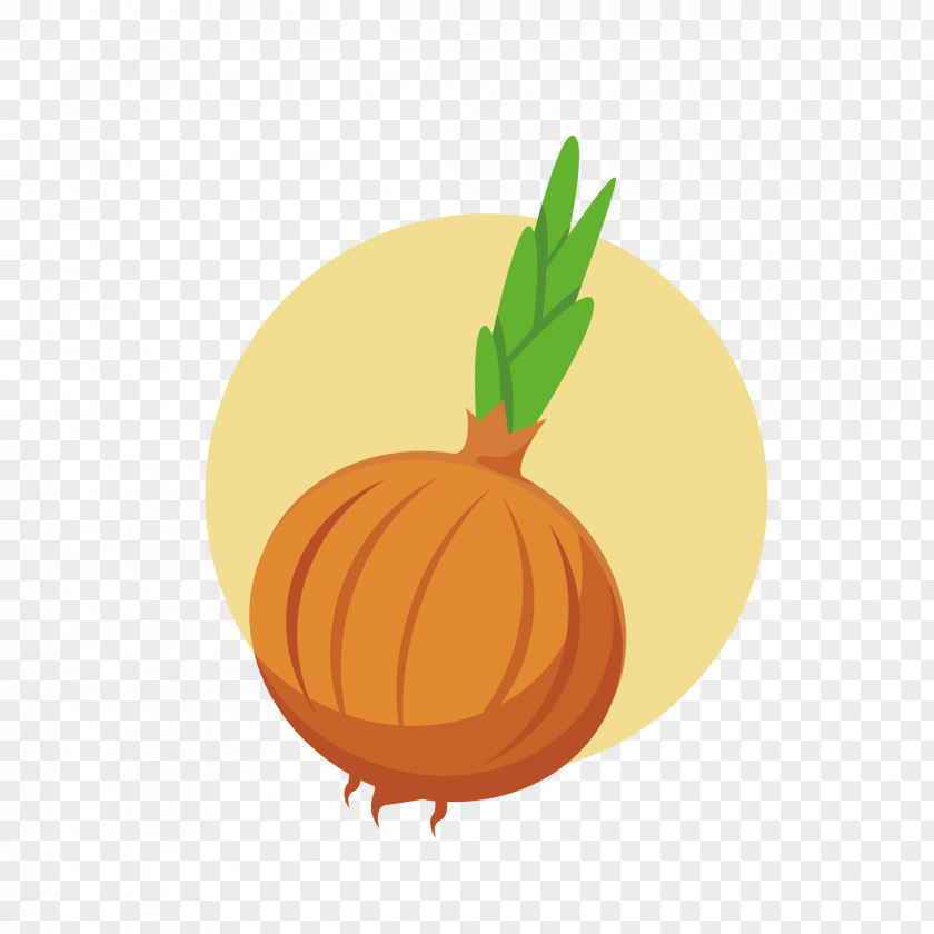 A Germinated Onion Vegetable Tomato PNG