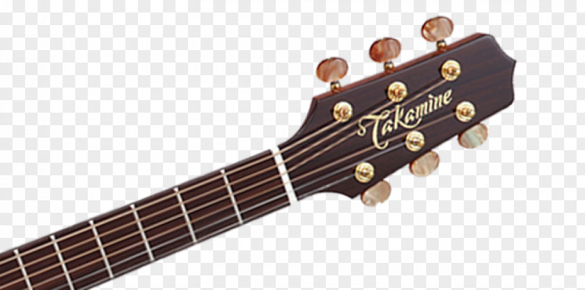 Acoustic Guitar Takamine Pro Series P3DC Guitars Steel-string PNG