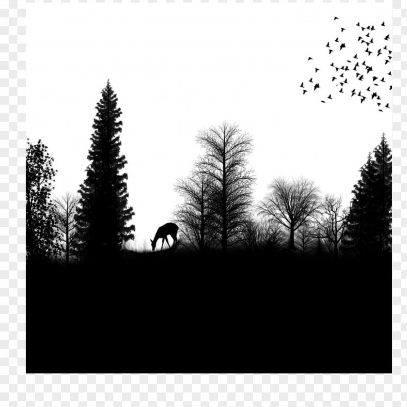 Silhouette Drawing Forest PNG