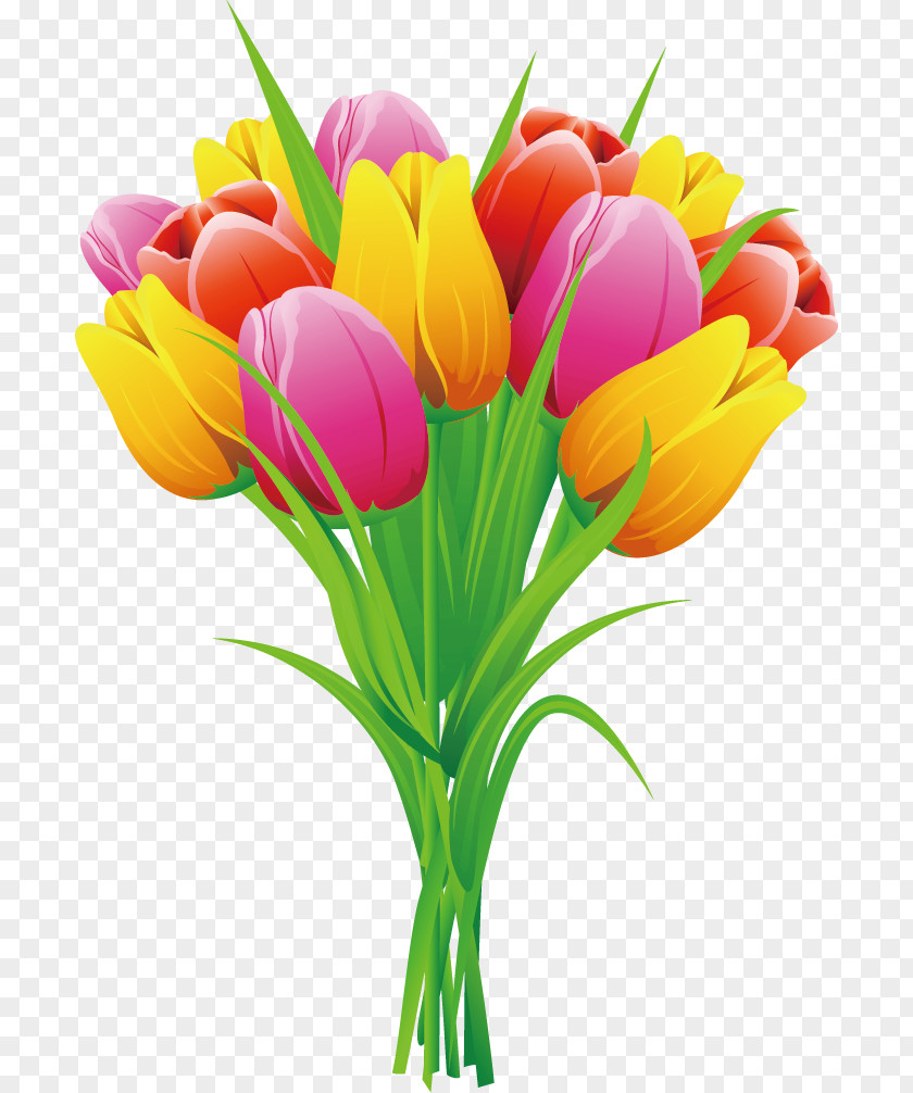 Tulip Bouquet Flower Bunch PNG