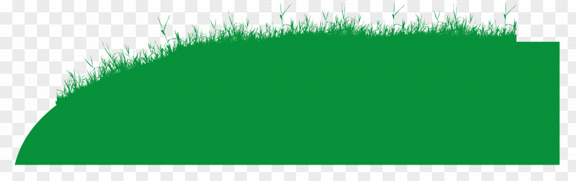 Abstract Grass Area Angle Leaf Font PNG